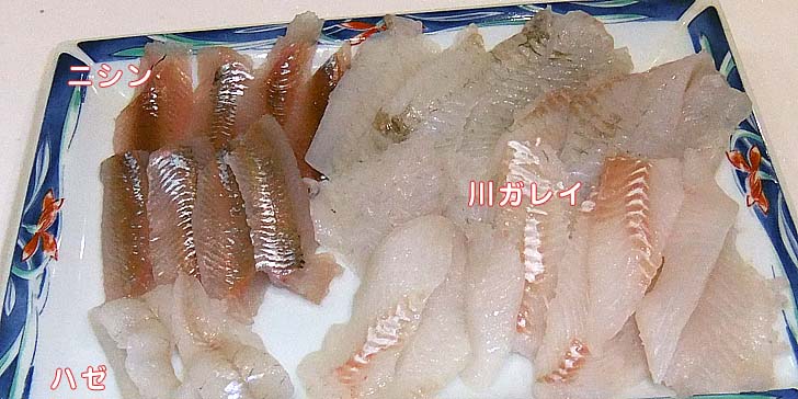 221228_r_sasimi.jpg(72378 byte)