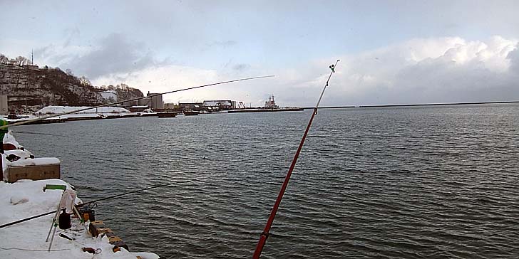 230107_1346umaya.jpg(72256 byte)