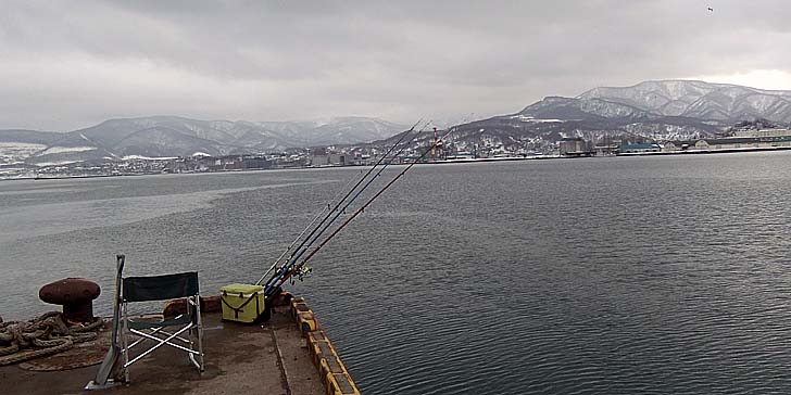 230301_1338turiza.jpg(65133 byte)