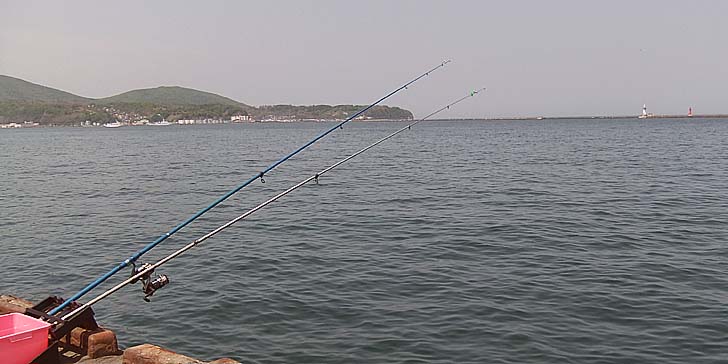 230517_1237nagesao.jpg(62783 byte)