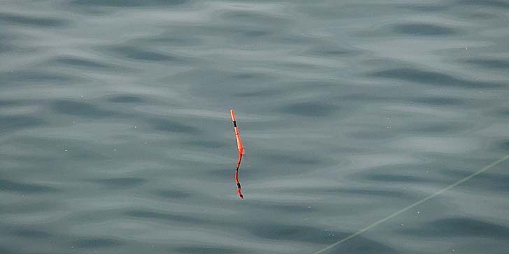 230517_1710uki1.jpg(30203 byte)