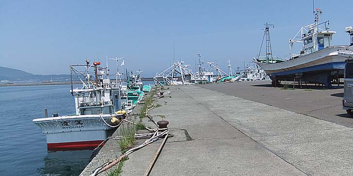230608_1141wakatake1.jpg(75344 byte)