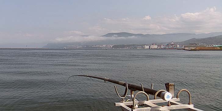 230608_1414kumo.jpg(55730 byte)