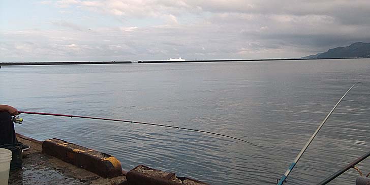 20230703_1621fune.jpg(51598 byte)
