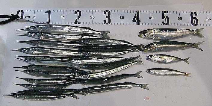 230714_1.jpg(82355 byte)