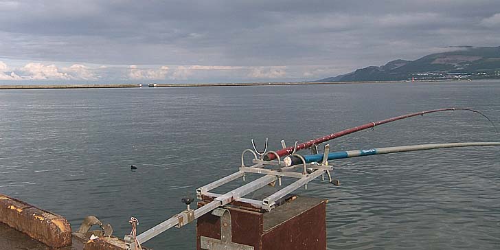 230714_1622syakuriki.jpg(56310 byte)