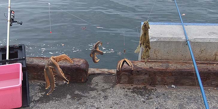 230818_1406hitode.jpg(81061 byte)