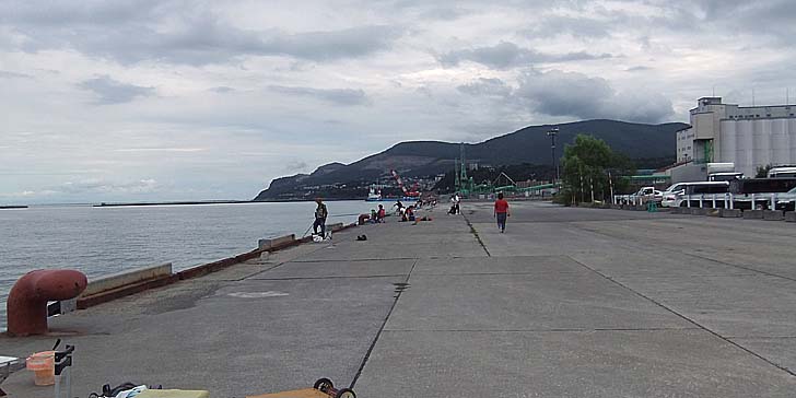 230818_1412migi.jpg(53647 byte)
