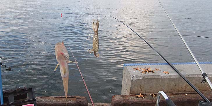 230818_1800hazesyakohitode.jpg(76771 byte)