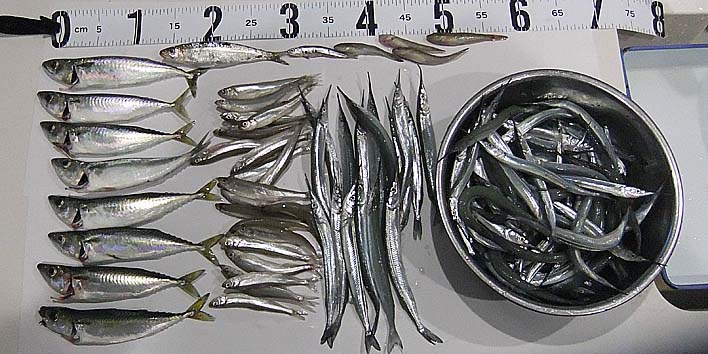 231009.jpg(98422 byte)
