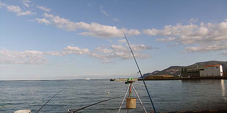 231009_1514saotokumo.jpg(54020 byte)