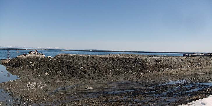 240327_1134katunaiutann2.jpg(75973 byte)