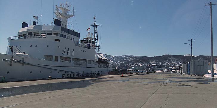 240327_1146umaya.jpg(54849 byte)