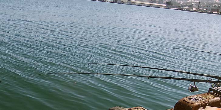 240327_1359isosao.jpg(81324 byte)