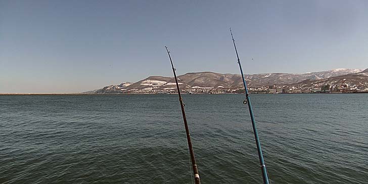240327_1359nagesao.jpg(58322 byte)