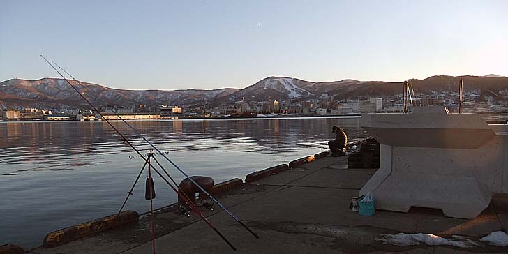240327_1731migi.jpg(53722 byte)