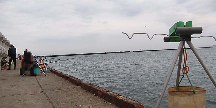 240411_1417hidari.jpg(59043 byte)