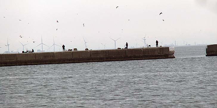 240411_1544kitabou.jpg(54397 byte)