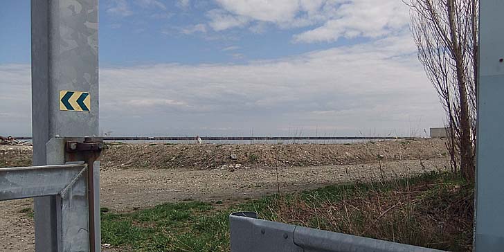 250424_1141katunai.jpg(73230 byte)