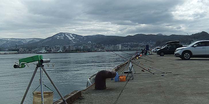 250424_1414migi.jpg(64737 byte)