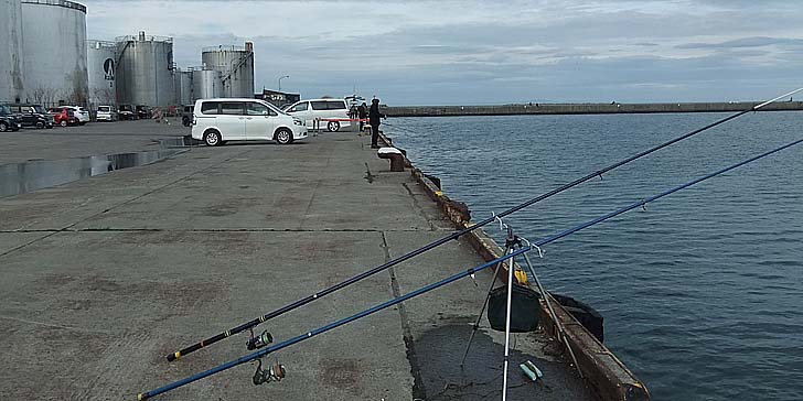 250424_1612hidari.jpg(75175 byte)
