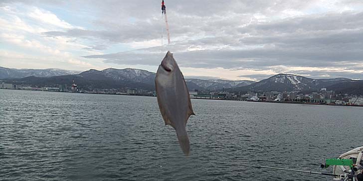 250424_1753karei.jpg(60539 byte)