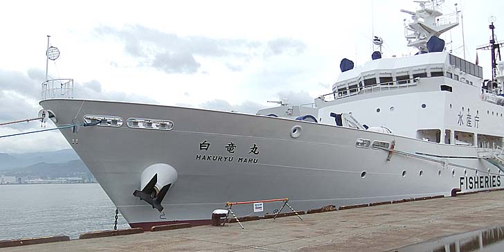 250704_1442hauryuu.jpg(58383 byte)