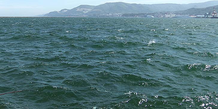 250714_1327usagi.jpg(93679 byte)