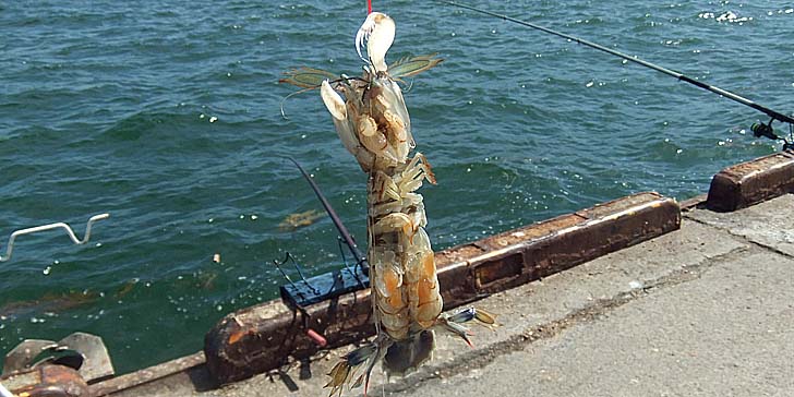 250714_1404syako.jpg(84688 byte)