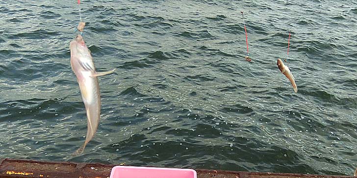 250714_1843haze.jpg(108447 byte)