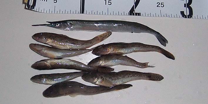 250714_2.jpg(61303 byte)