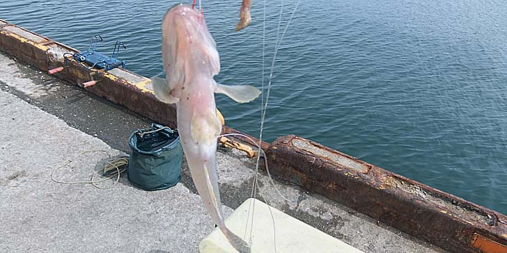 250904_1334haze.jpg(84717 byte)