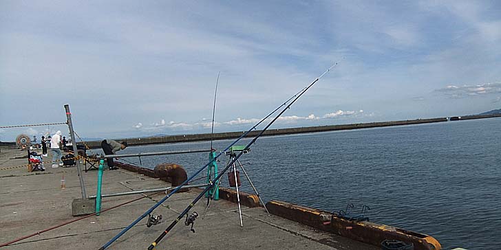 250904_1443hidari.jpg(58756 byte)