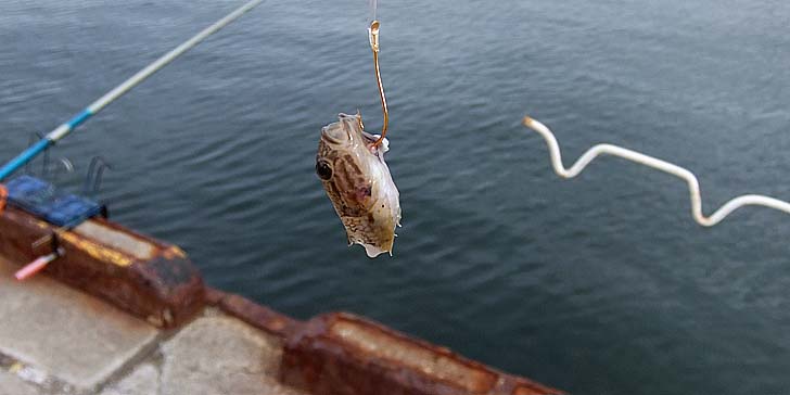 250904_1532hazeatama.jpg(43600 byte)