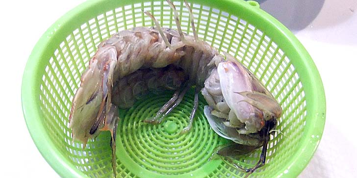 250904_r_syako.jpg(71878 byte)