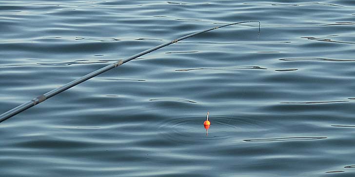 250930_1535uki.jpg(49092 byte)