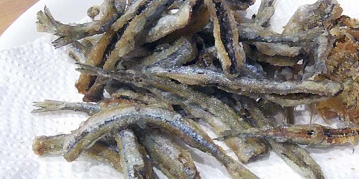 251017_r_sayori.jpg(93575 byte)