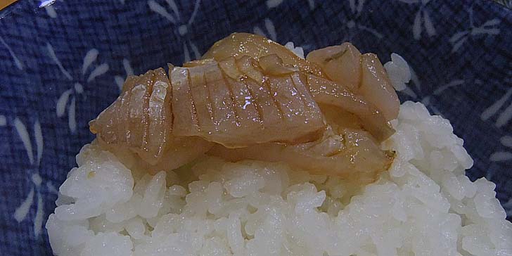 251017_r_umadura1.jpg(56429 byte)