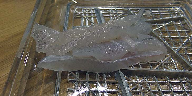 251017_r_umadura2.jpg(82858 byte)