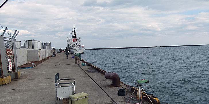 251104_1233hidari.jpg(66384 byte)